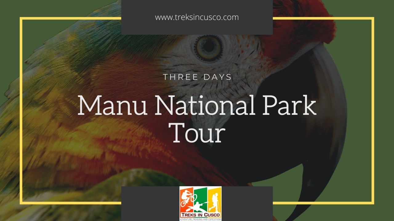 Manu National Park Tours from Cusco (3 Days) - Treks In Cusco