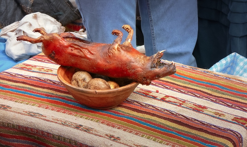 Cuy in Peru