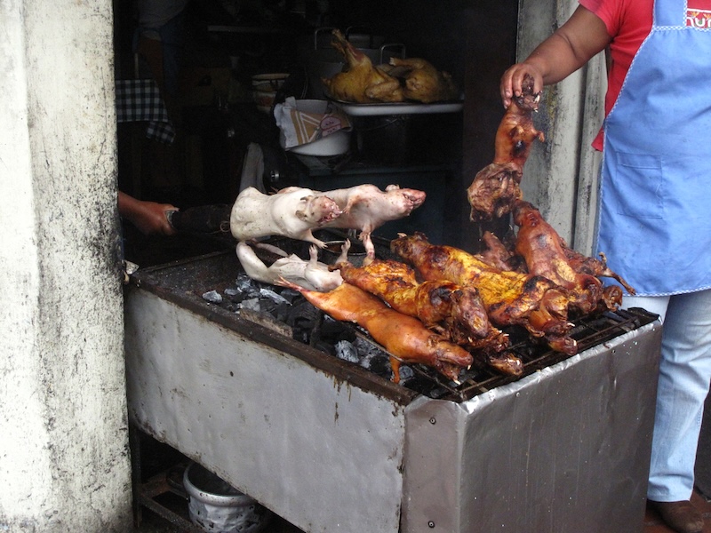 Cuy in Peru